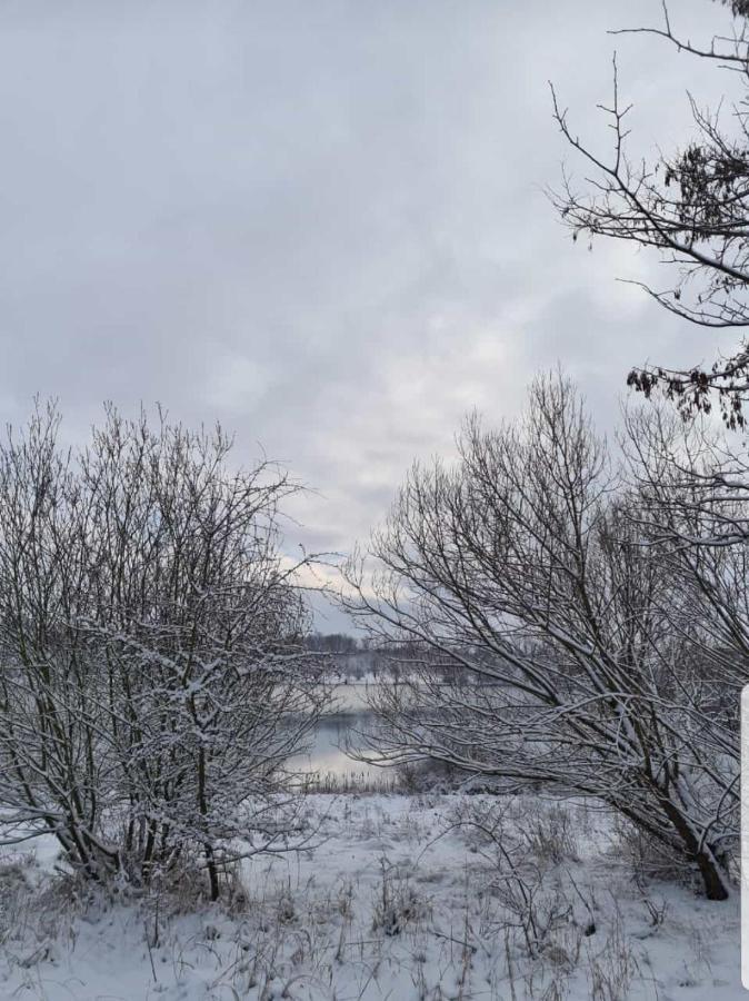 "Altes Stellwerk Frose" Am Froser See ภายนอก รูปภาพ